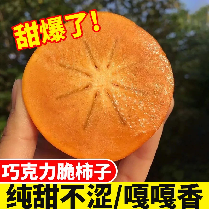 山西阳丰脆柿子新鲜水果当季整箱包邮孕妇甜柿子巧克力柿生吃脆柿