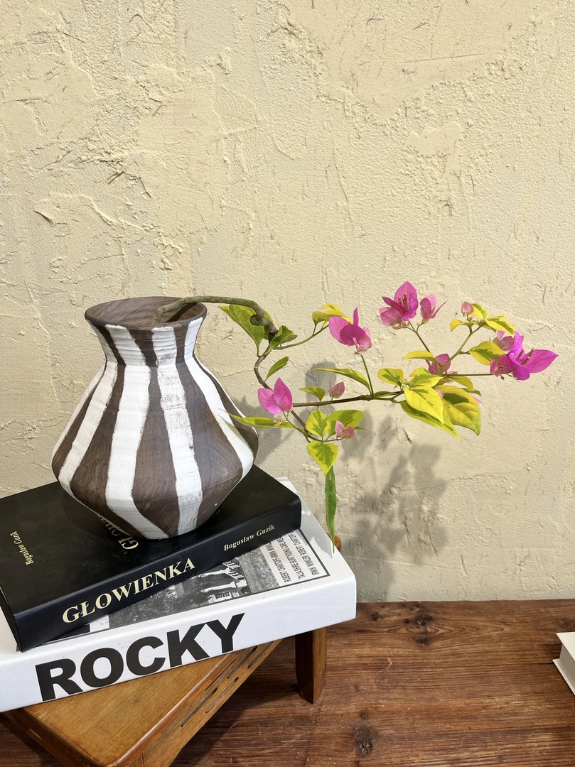 意境品种三角梅精品盆景小品盆景