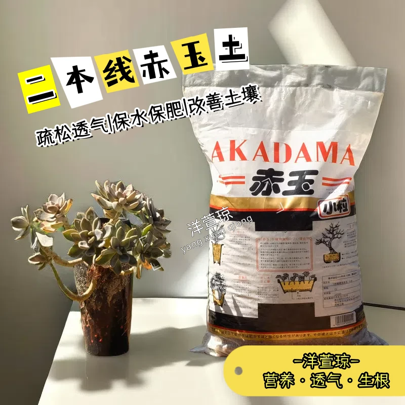 原装进口赤玉土二本线多肉全颗粒土专用营养土铺面大包装酸性疏松