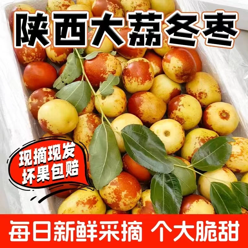 【酥脆香甜】正宗陕西大荔冰糖冬枣2-5斤装 自然成熟新鲜采摘顺丰