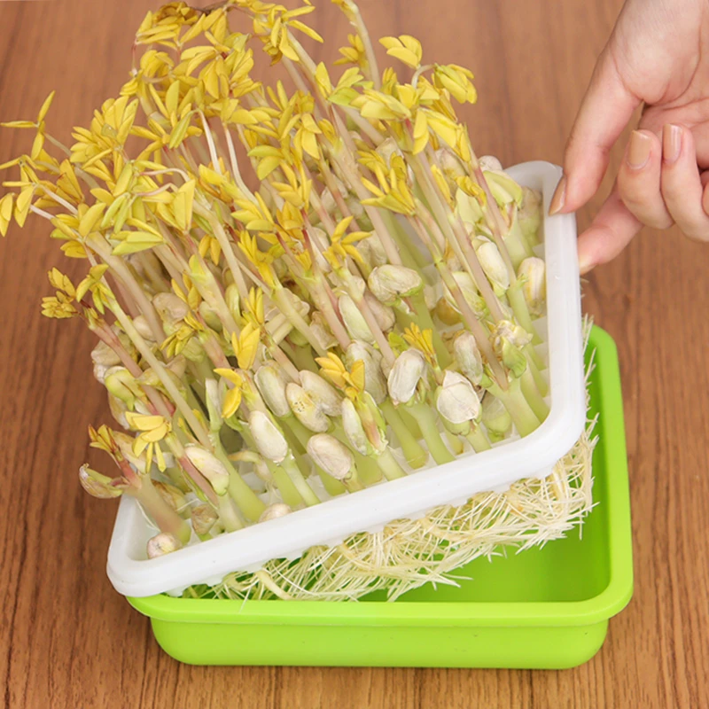 豆芽发芽盆p20育苗盘芽苗水培盒发花生豌豆绿豆芽专用盆蔬菜
