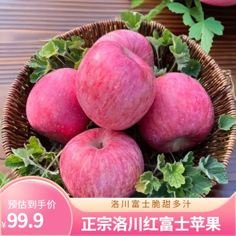 【安某人专属】洛川红富士苹果净重8-8.5斤12颗85-95果脆甜多汁