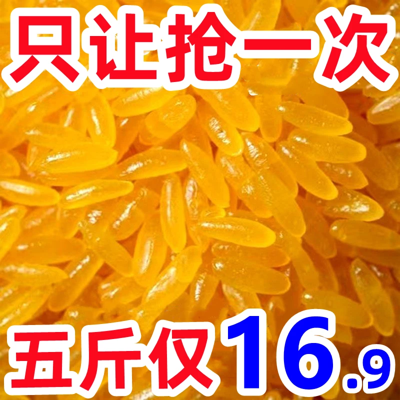 【工厂冲量】黄金米新货玉米黄金米玉米粗粮杂粮焖饭煮粥黄金米批发