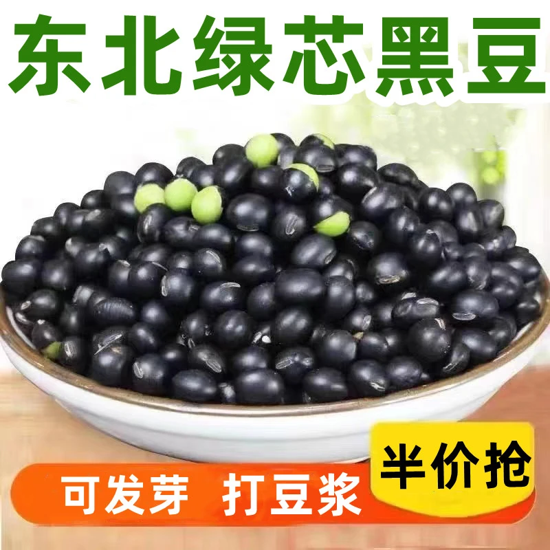 东北新绿芯黑豆农家芯黑豆浆可发芽五谷杂粮小黑豆生黑豆煮粥袋装
