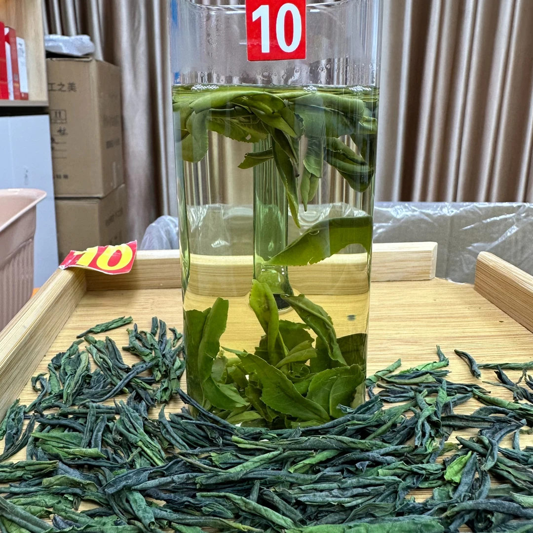 徽玉叶2025年新茶绿茶六安瓜片本地老品种清香淡雅办公会议招待