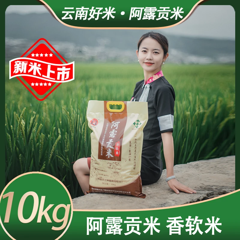 香软米籼米大米阿露贡米2025新品装米软糯香甜云南德宏特产20斤装