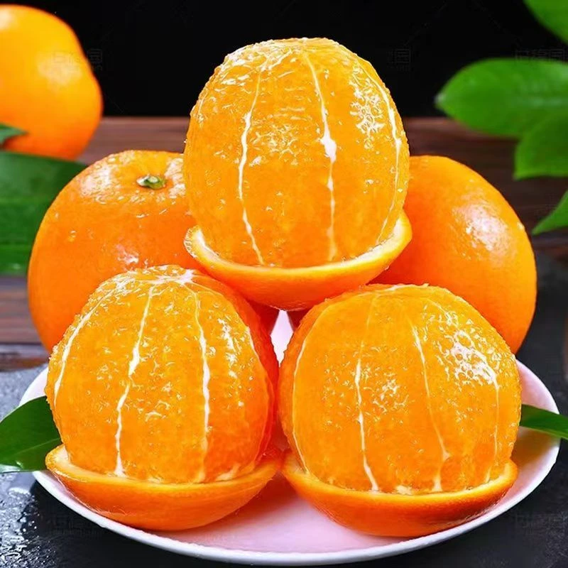 【赣南脐橙】正宗江西赣南多味甜带箱9-10斤装新鲜水果橙子产地直发