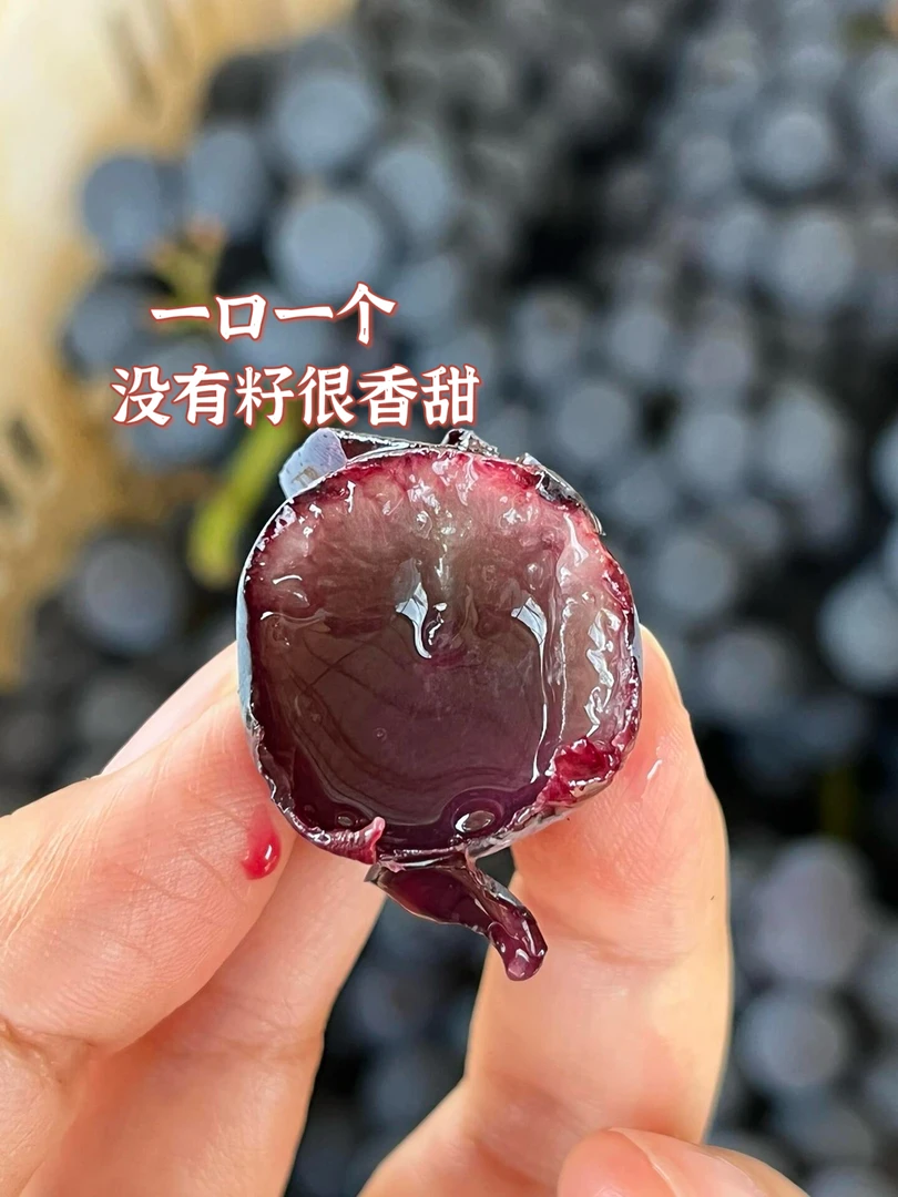夏黑葡萄.酸甜可口.产地现摘现发新鲜采摘天然发货口感