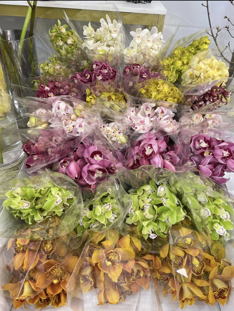 各种小香兰链接（打开选）