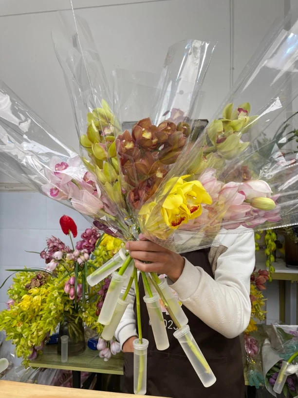 整合10支惠兰（1支损耗不售后）