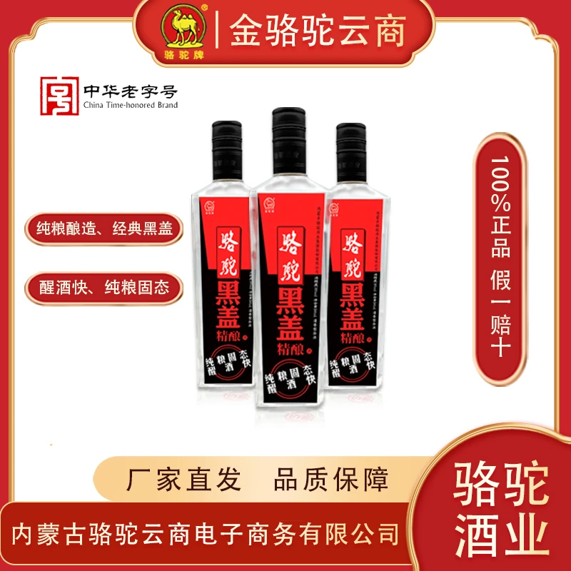 骆驼金骆驼 42° 黑盖精酿 500ml （三瓶送一瓶本品)42度42