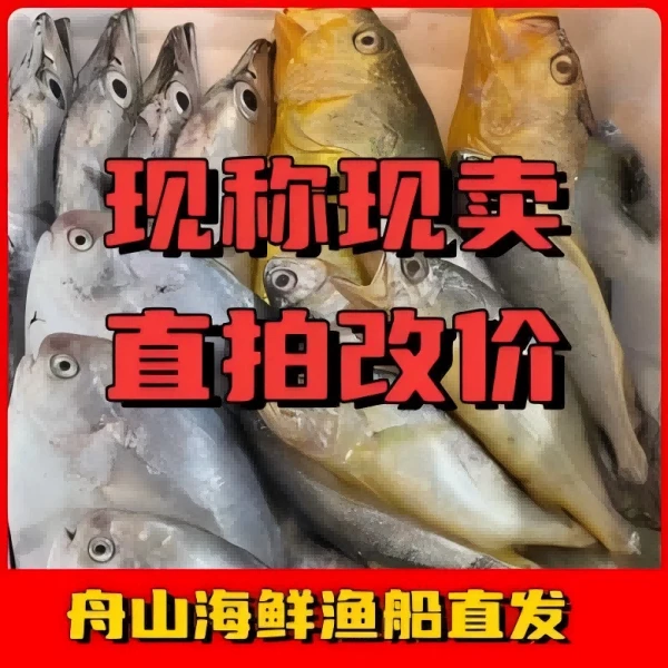 【直播现称】听清再拍斤只两规格 舟山海鲜 鱼虾蟹现场发货