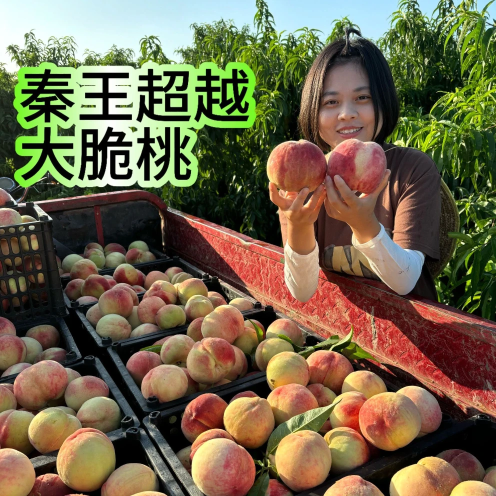 【顺丰包邮】小玉专属 (超越脆蜜桃) 脆甜爽口 果园现摘现发 4.6斤