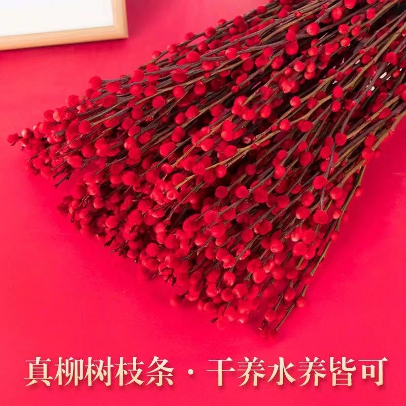 红色招财银柳干花真花年宵花室内客厅摆放装饰花染色新鲜diy生日
