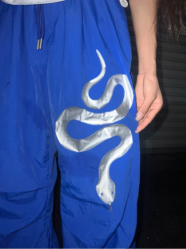 SUANS原创银蛇蓝色帅气休闲街舞运动速干夏季薄款伞兵工装运动裤