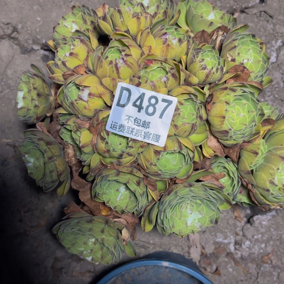 拉丝法师14-32不包邮