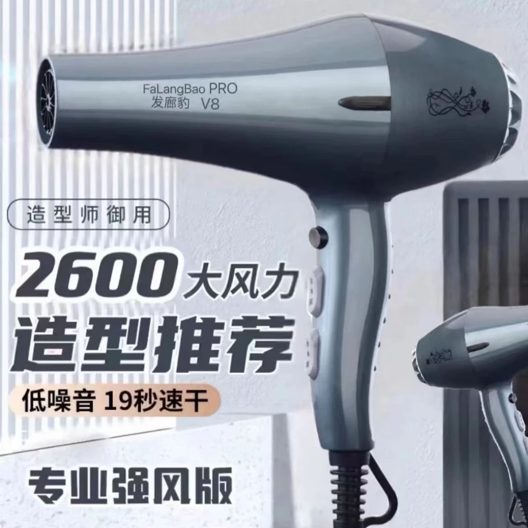 电吹风机大风力速干发型师专用家用大功率专业发廊风筒
