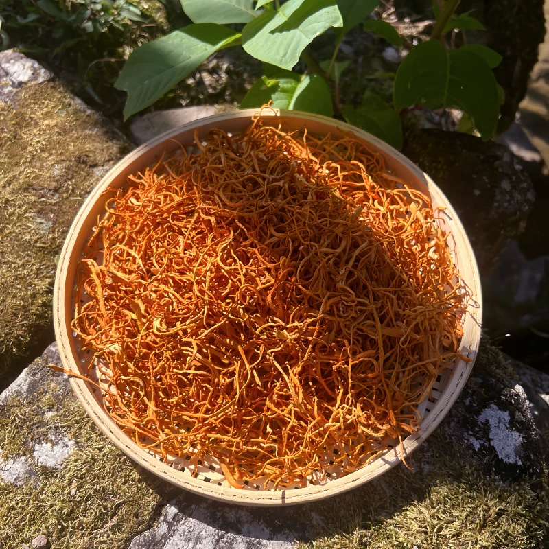 【山里优选】农家虫草花