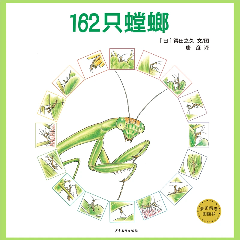 162只螳螂 麦田精选图画书