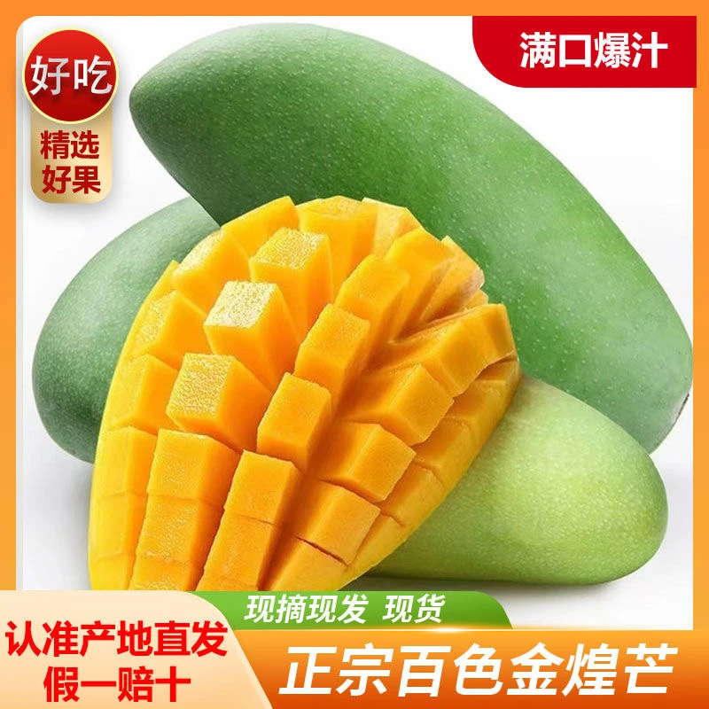 【广西百色金煌芒】应季新鲜水果香浓多汁核肉厚肉嫩果园直发香甜
