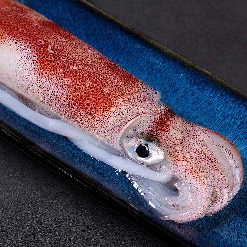 东山岛海鲜管灯管活冻冰鲜枪鱿鲜活海钓新鲜乌贼刺身生鲜火箭鱿鱼