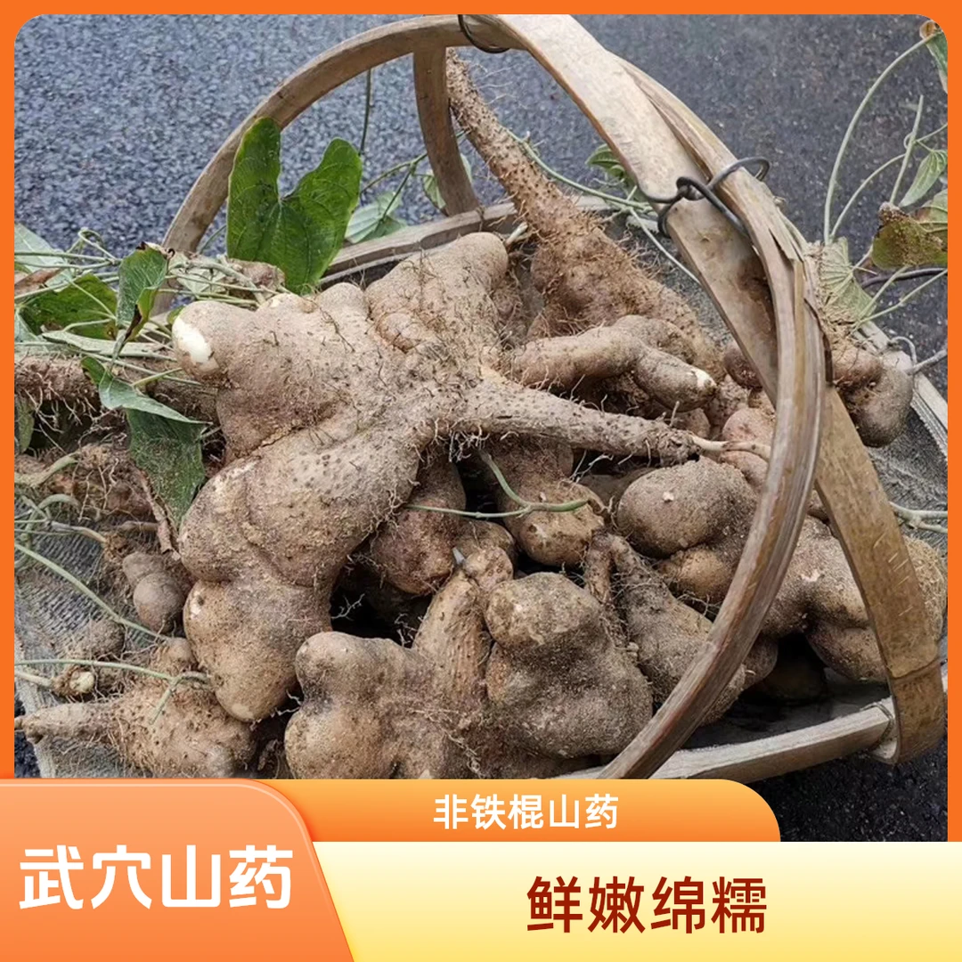 湖北武穴佛手山药养胃非铁棍淮山农家收购鲜绵糯粉黄冈特产地直发