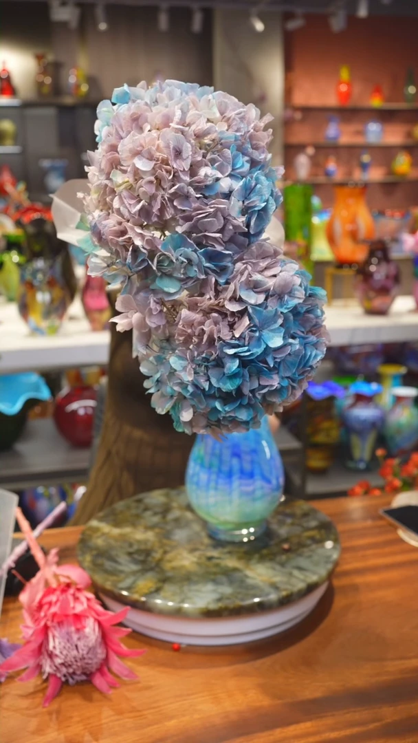 【闪购商品】永生绣球2支
