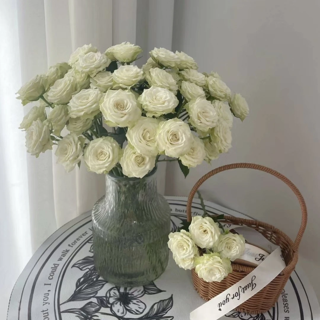 繁星--玫瑰（任意两单包邮，一单需要补运费）