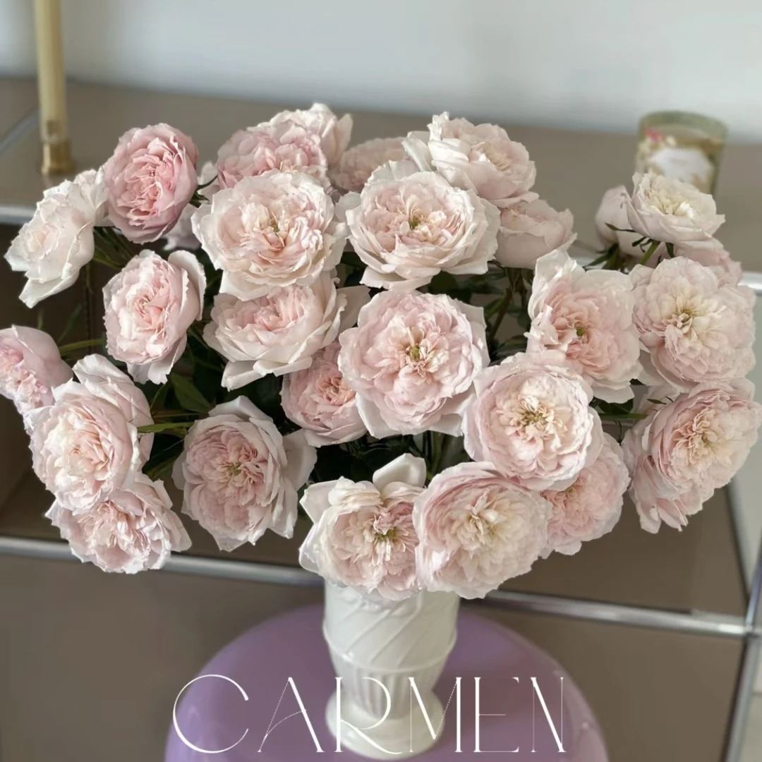 日和-多头玫瑰（任意两单包邮，一单需要补运费）