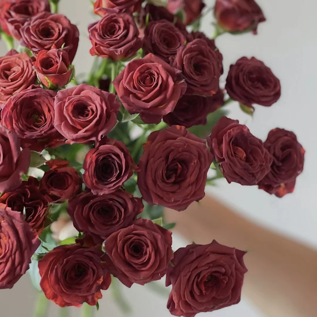 巧克力糖-多头玫瑰（任意两单包邮，一单需要补运费）