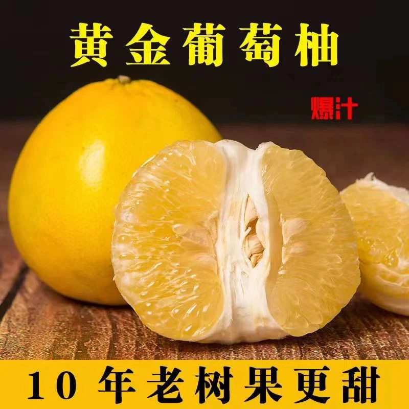黄金葡萄柚头茬鲜果当季新鲜榨汁水果产地直发送榨汁器小柚子