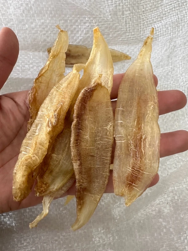 新店特价 花胶干货 金龙胶  干净 软糯多胶，厚肉款