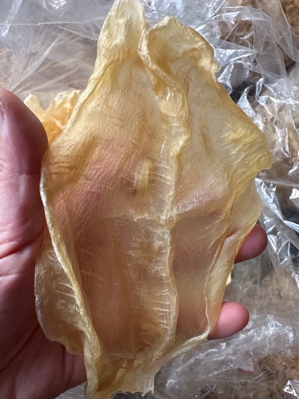 甲肚 蜘蛛胶  纯野 开片 老货