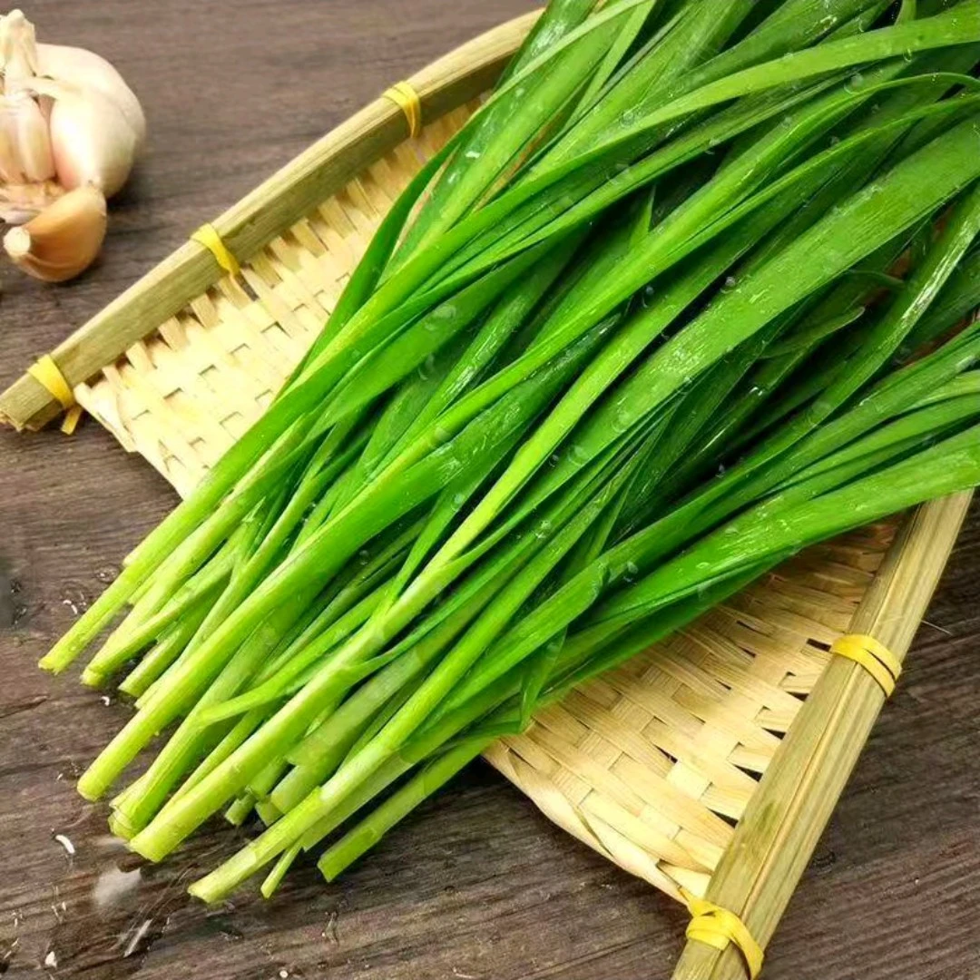 【安心蔬菜】新鲜韭菜 约450g/份