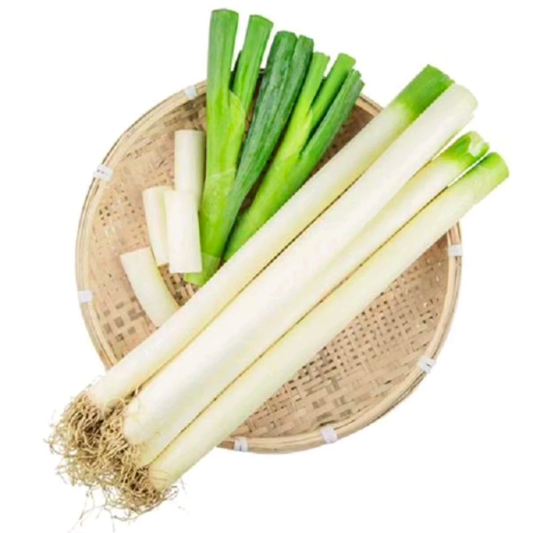 【安心蔬菜】精品新大葱 约450g/份