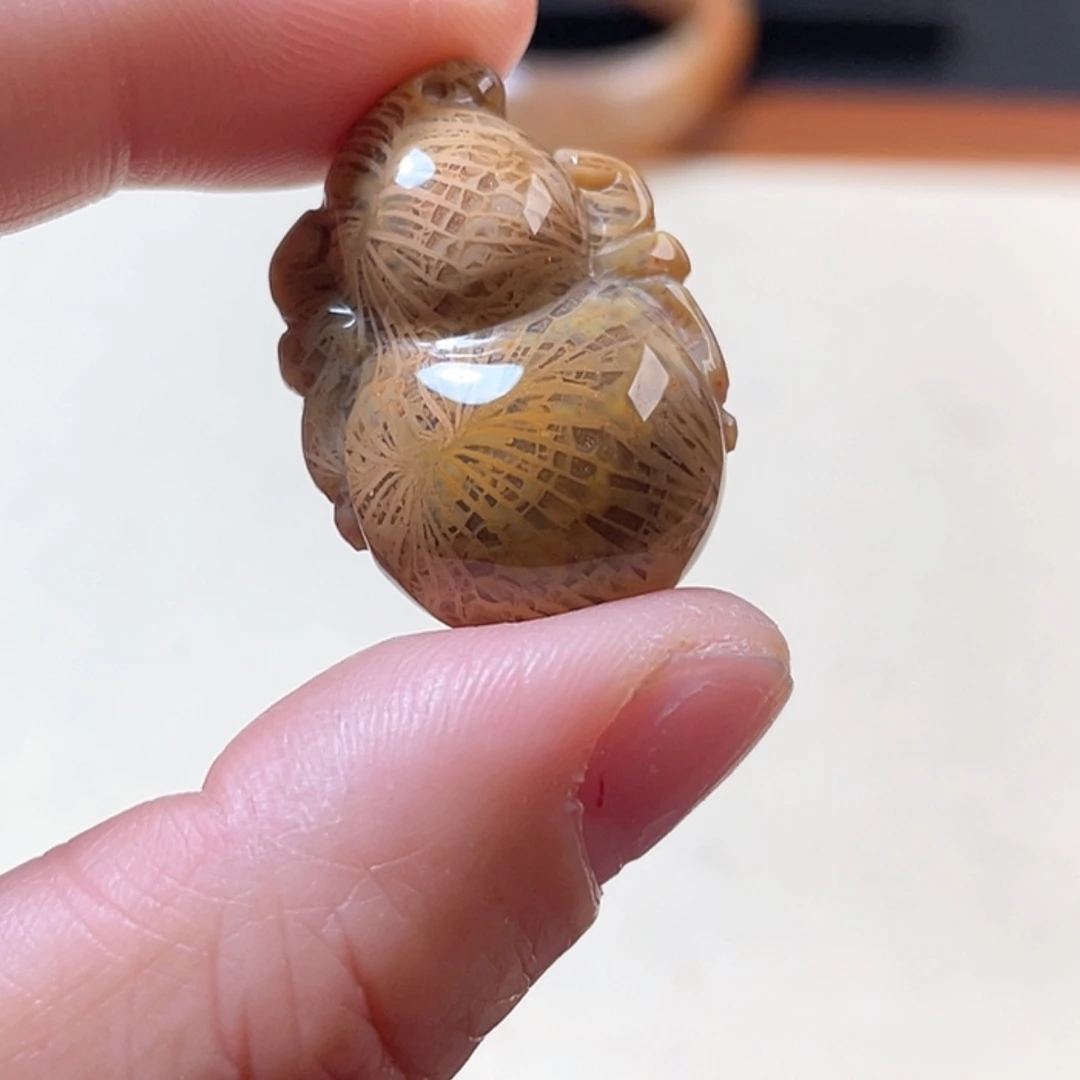 【闪购商品】硅化玉吊坠(赠链)未镶嵌?**宝