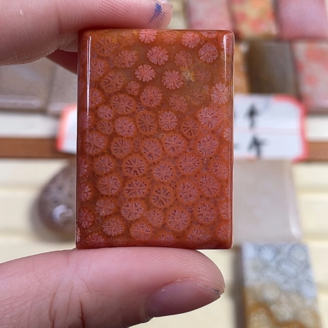 【闪购商品】硅化玉吊坠(赠链)未镶嵌秦*