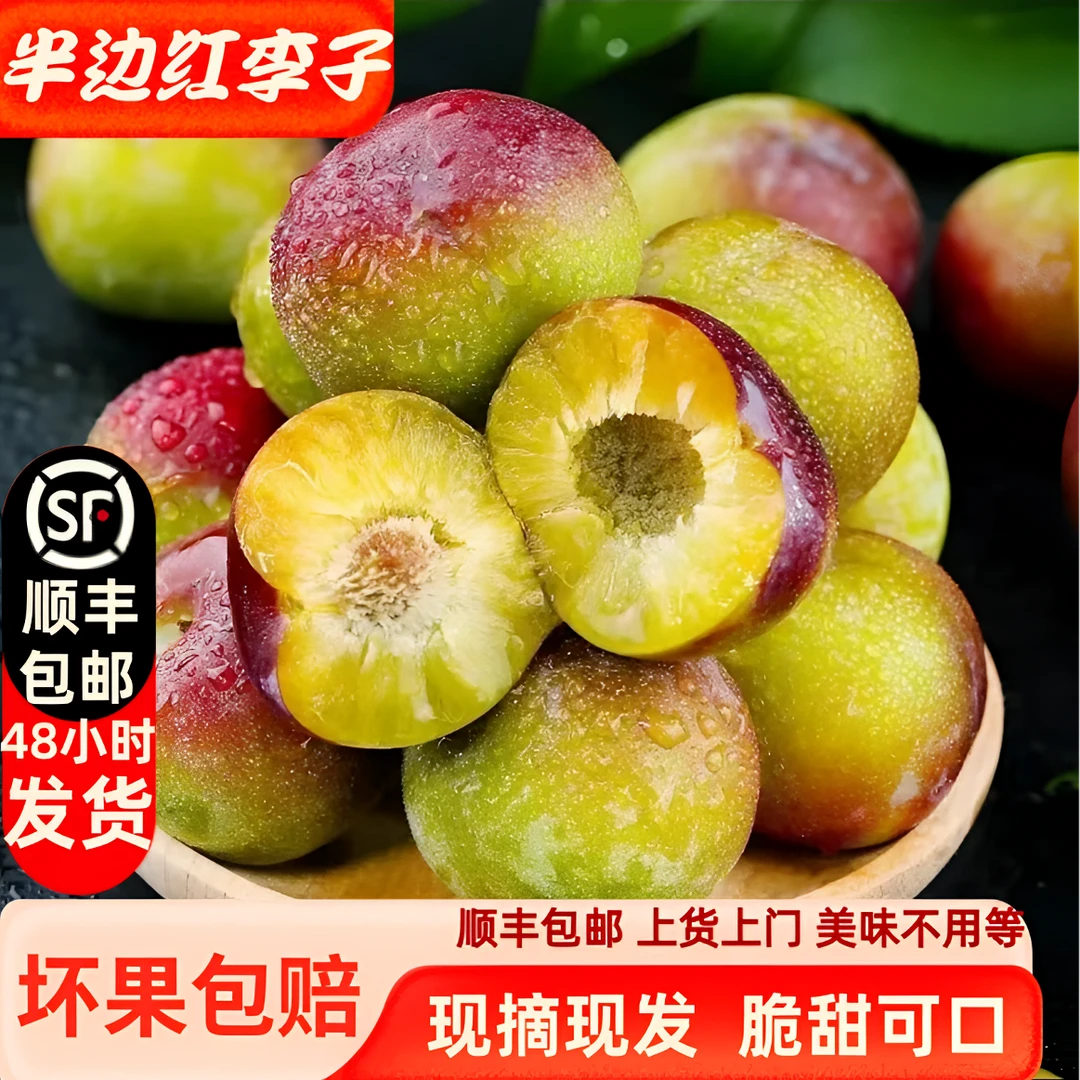 (顺丰专线包邮)精选云南绥江半边红李子脆甜可口坏果包赔5斤