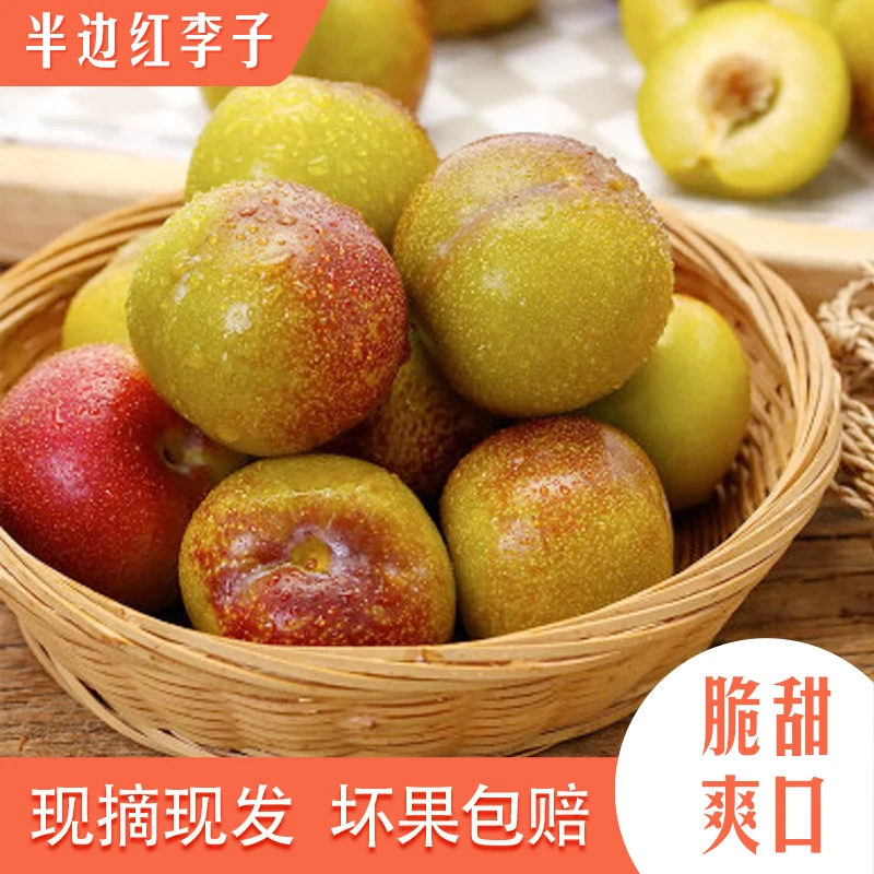 云南绥江半边红李子脆甜多汁5斤起包邮