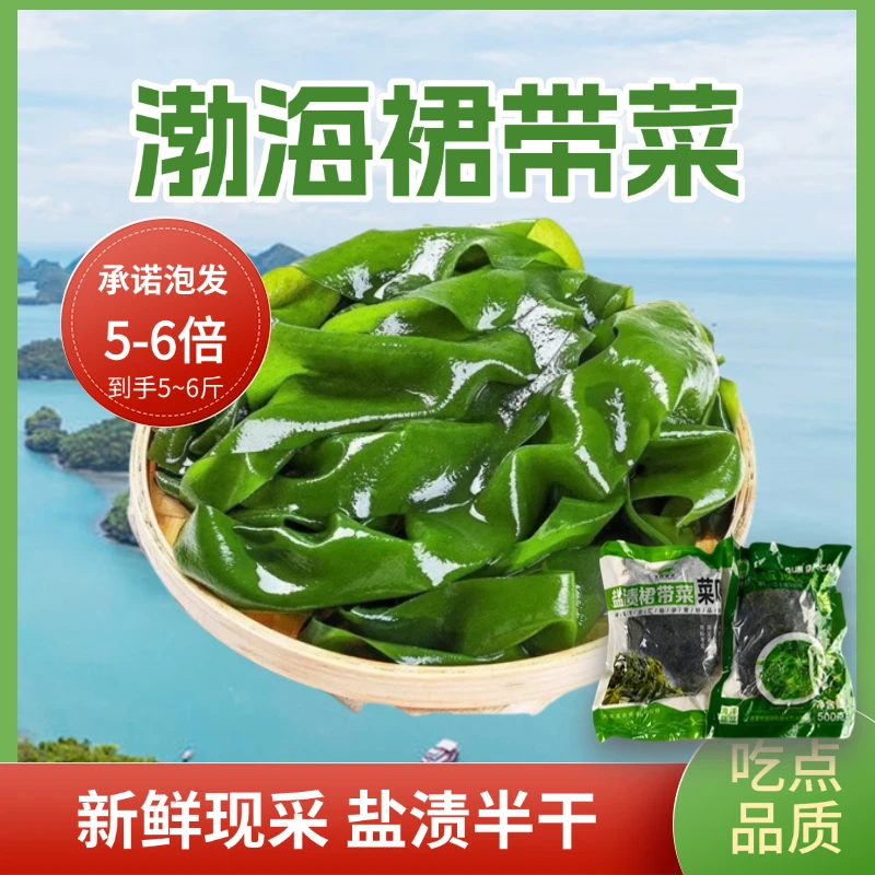 大连特产盐渍裙带菜半干裙带菜鲜嫩爽口新鲜干净凉拌煲汤营养美味