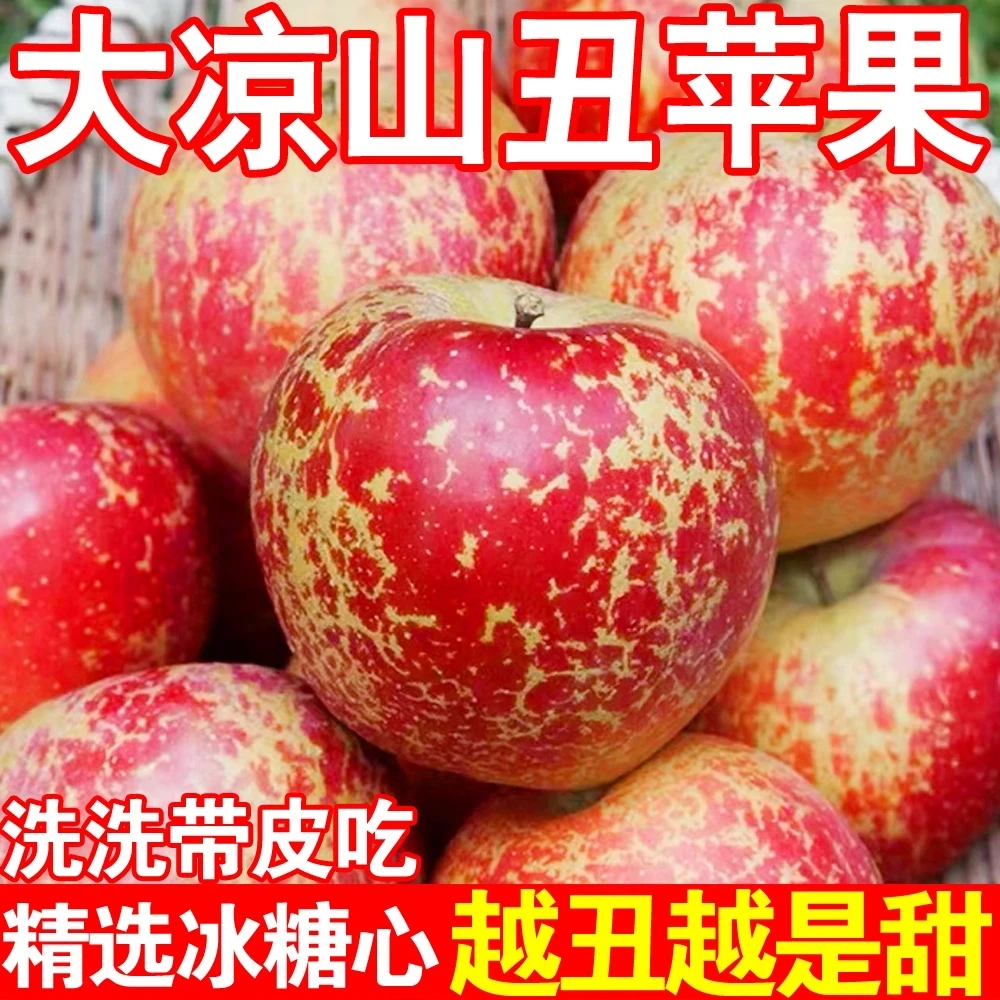 【正宗大凉山1】盐源自然生长糖心丑苹果当季新鲜水果现摘新鲜水果