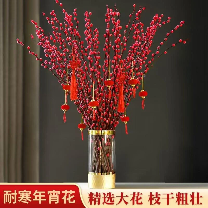 1米-1.5米高精选大苗红色银柳干花真花枝银柳家居年宵花喜庆新鲜