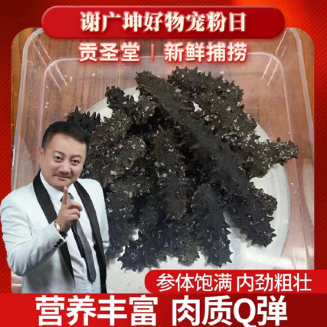 【坤哥优选】贡圣堂盐渍海参