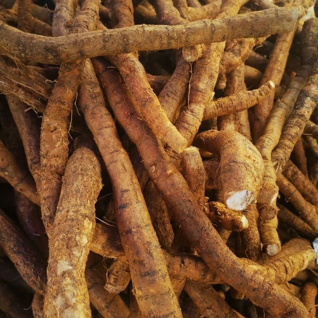 【粉丝专享】煲汤煮水 新鲜牛大力金钟根500g