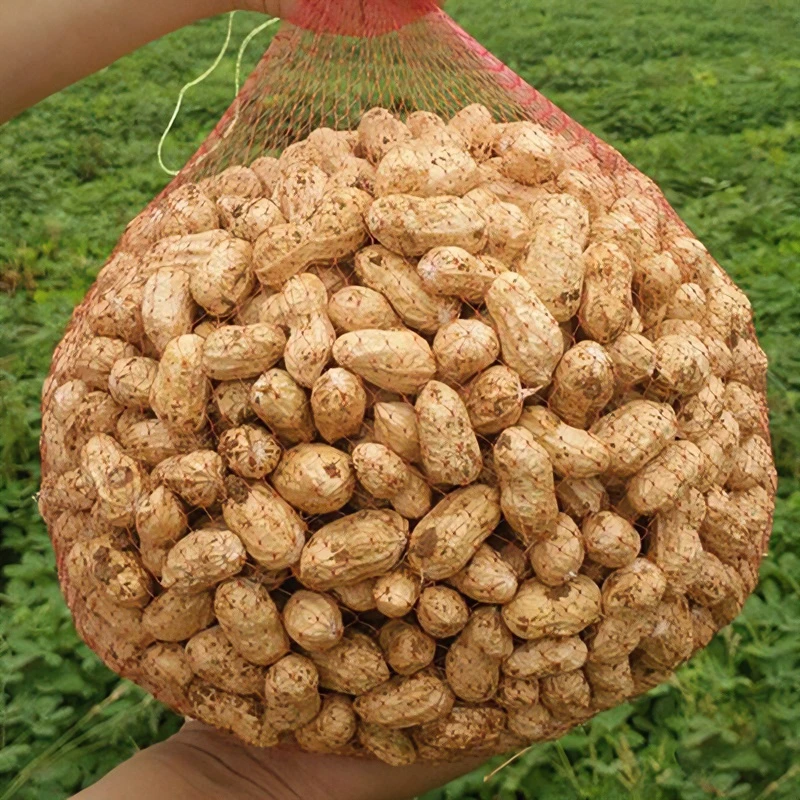 【当季鲜花生】2025年新鲜湿花生现挖现发粉皮带泥带壳花生熬粥养胃