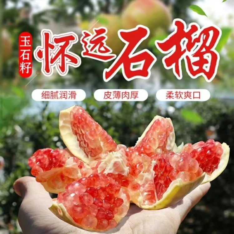 八分甜二分酸正宗怀远石榴红花玉石籽5/9斤礼盒装果园直发包邮