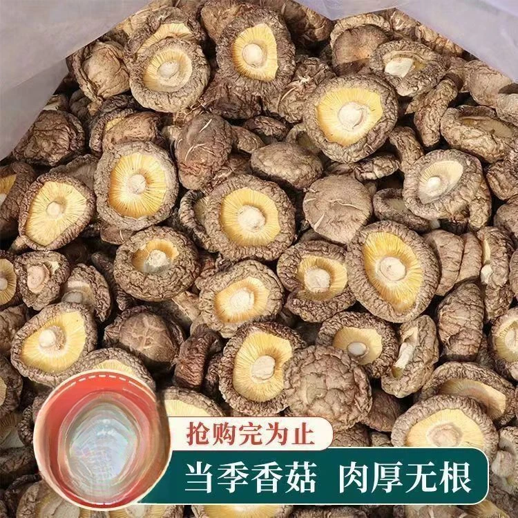 【超低价】新鲜日晒干香菇干货野生蘑菇香菇冬菇农家特产菌菇批发