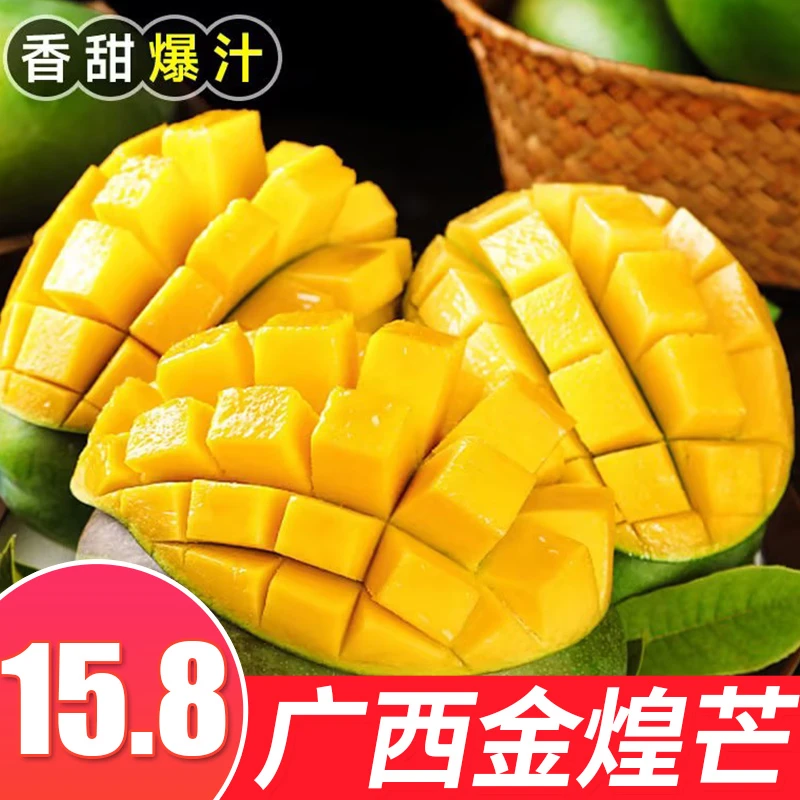 广西金煌芒果3-9斤装 青皮金煌芒果新鲜现摘应当季热带芒果甜
