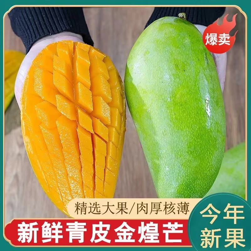 广西金煌芒果3-8斤装 新鲜青皮金煌芒产地水果香甜多汁到货需催熟