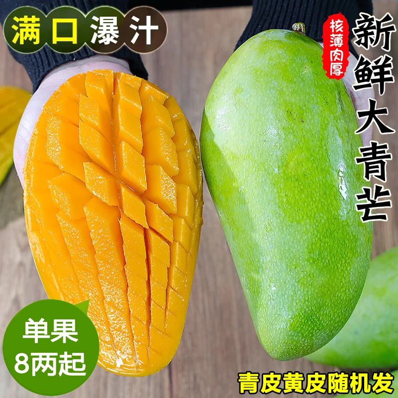 【放软后食用】精选多汁新鲜大青芒3-8斤装热带水果芒果生鲜金煌芒